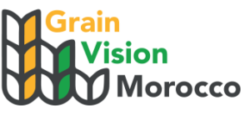 Grain Vision Morocco